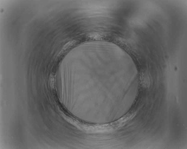 X0000072540036200608041633