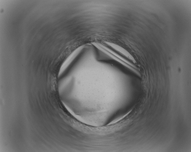 X0000072540038200608041633