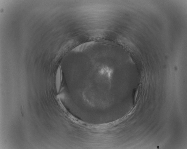 X0000072540041200608041633