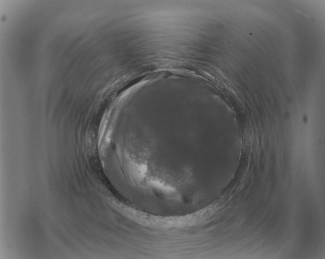 X0000072540043200608041633