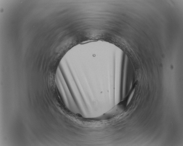 X0000072540044200608041633