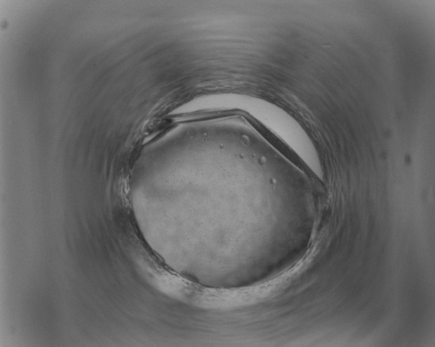 X0000072540045200608041633