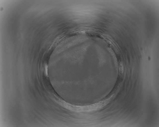 X0000072540046200608041633