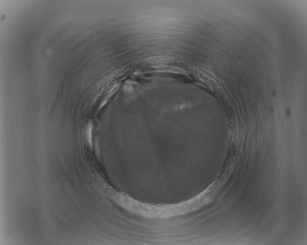 X0000072540047200608041633