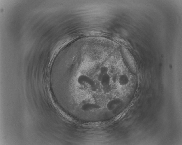 X0000072540049200608041632