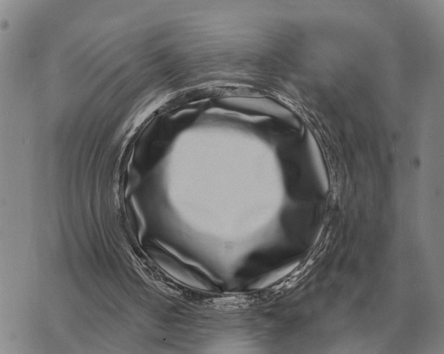 X0000072540050200608041632