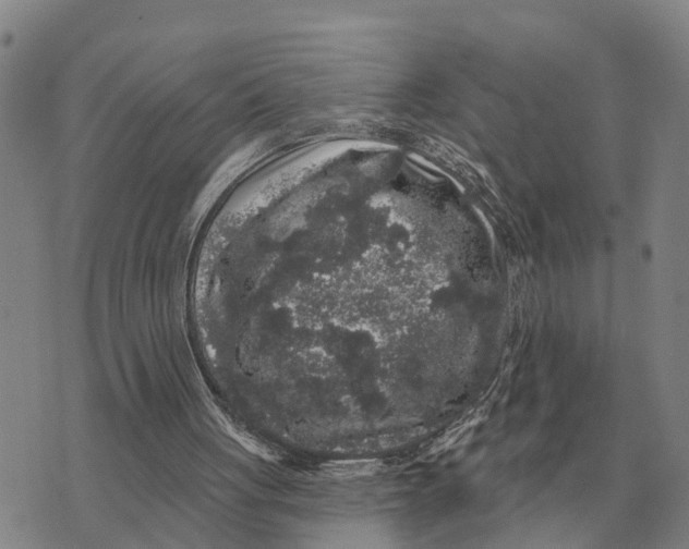 X0000072540051200608041632