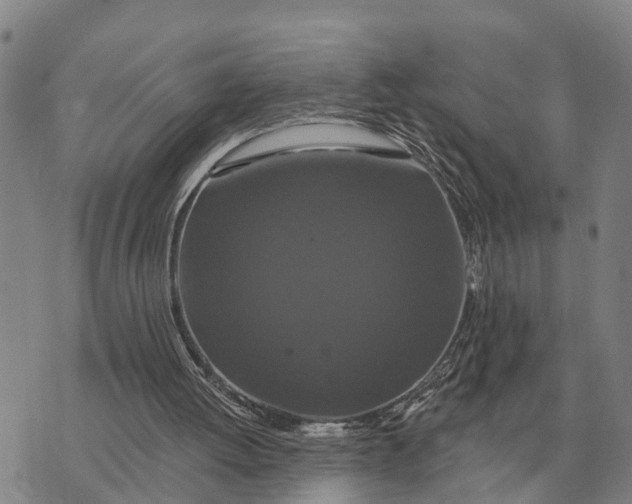 X0000072540052200608041632