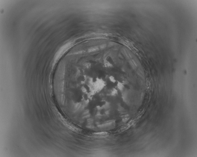 X0000072540053200608041632