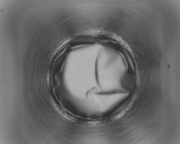 X0000072540057200608041633