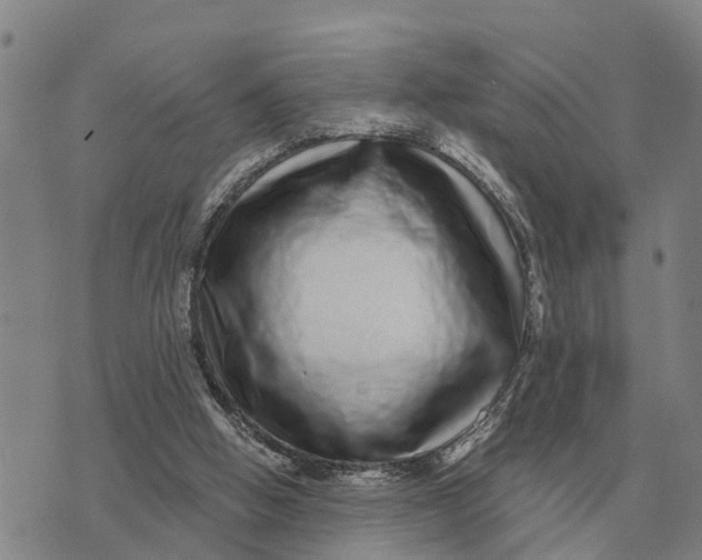 X0000072540058200608041633