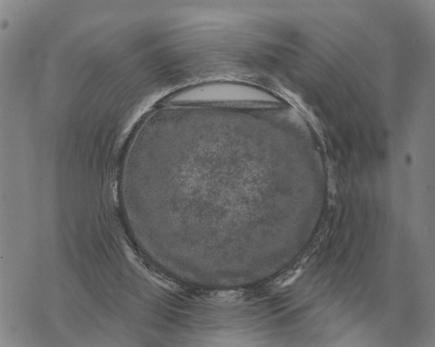 X0000072540060200608041633