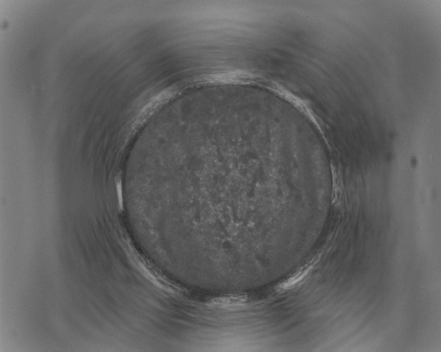 X0000072540061200608041633