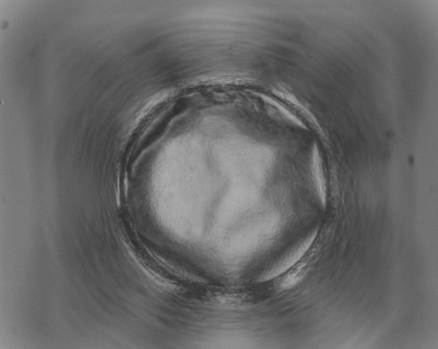 X0000072540062200608041633