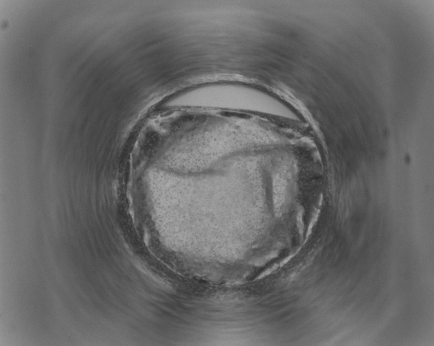 X0000072540063200608041633