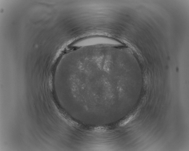 X0000072540064200608041633