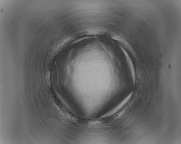 X0000072540066200608041633