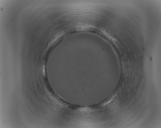 X0000072540067200608041633