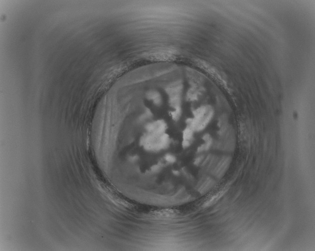 X0000072540069200608041633