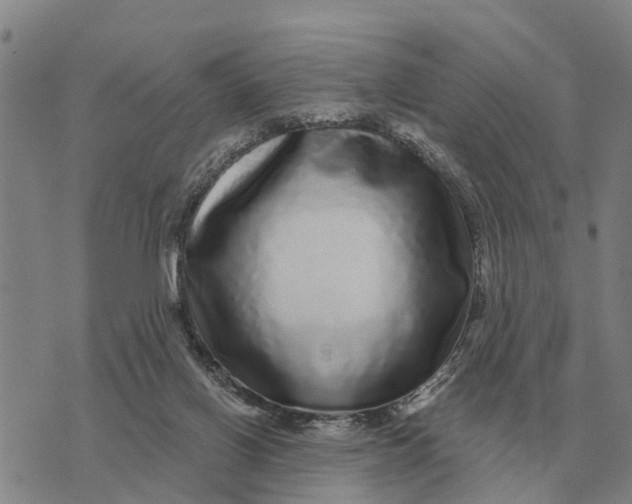 X0000072540070200608041633