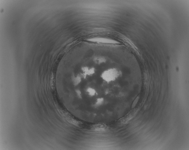 X0000072540073200608041633