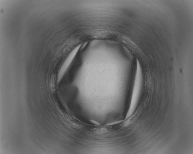 X0000072540074200608041633