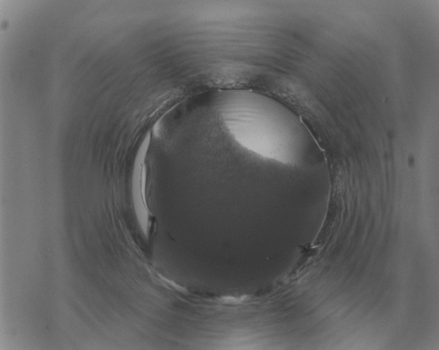 X0000072540076200608041633