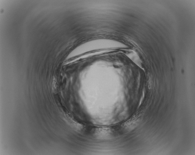 X0000072540077200608041633