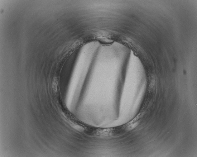 X0000072540078200608041633