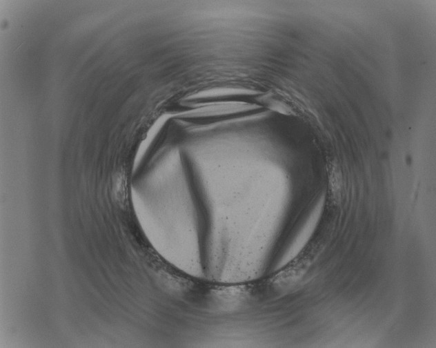 X0000072540079200608041633