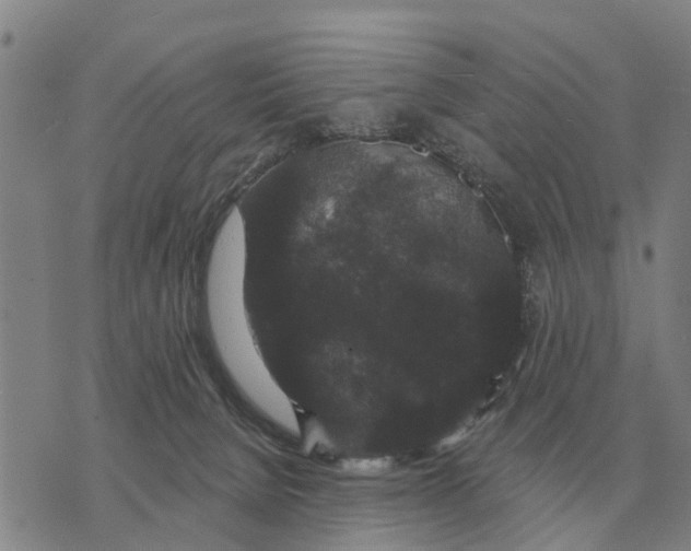 X0000072540080200608041633