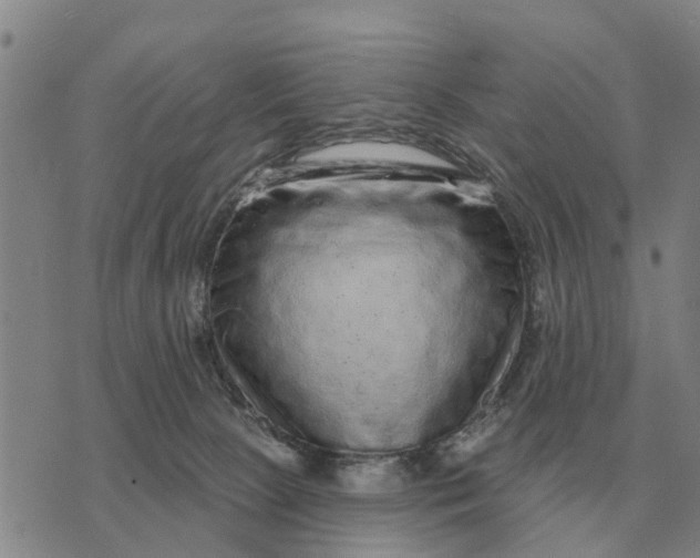 X0000072540081200608041633