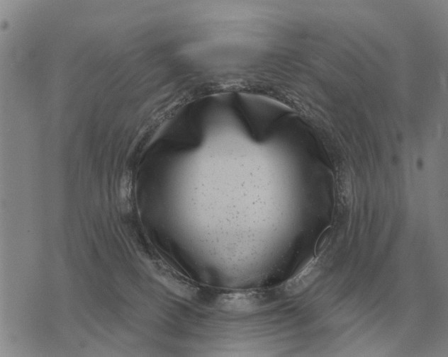 X0000072540082200608041633