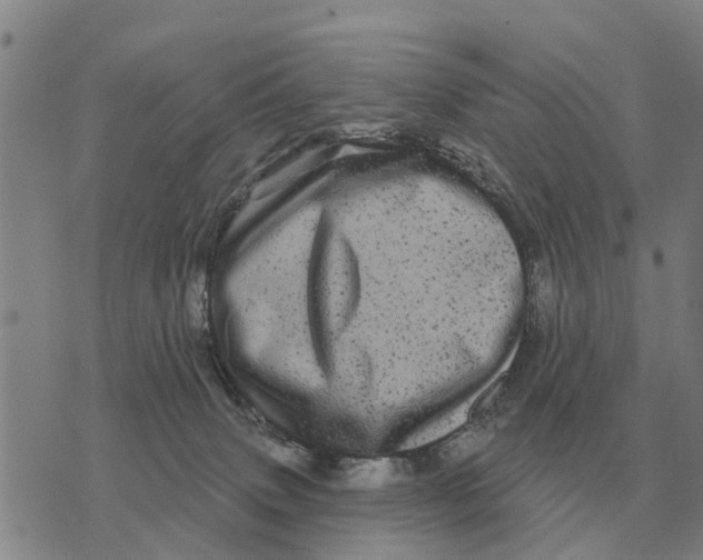 X0000072540083200608041633