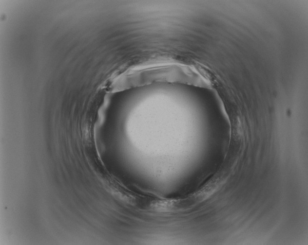 X0000072540084200608041633