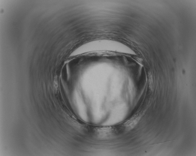 X0000072540085200608041633