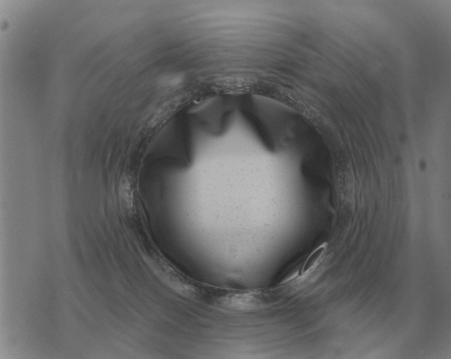 X0000072540086200608041633