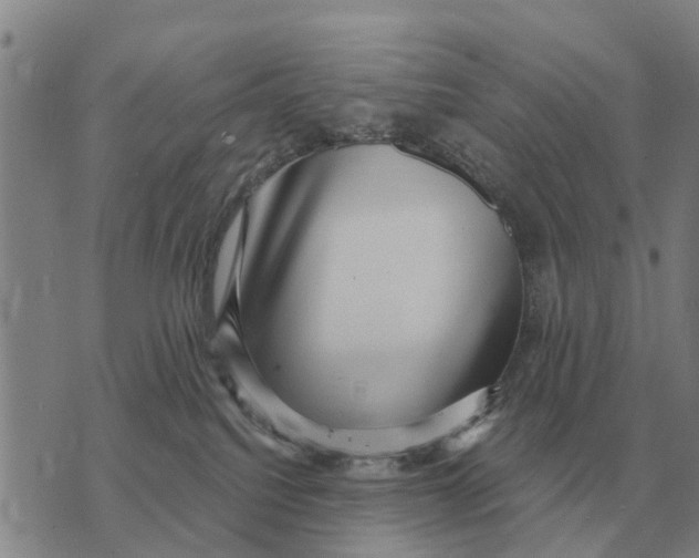 X0000072540088200608041633