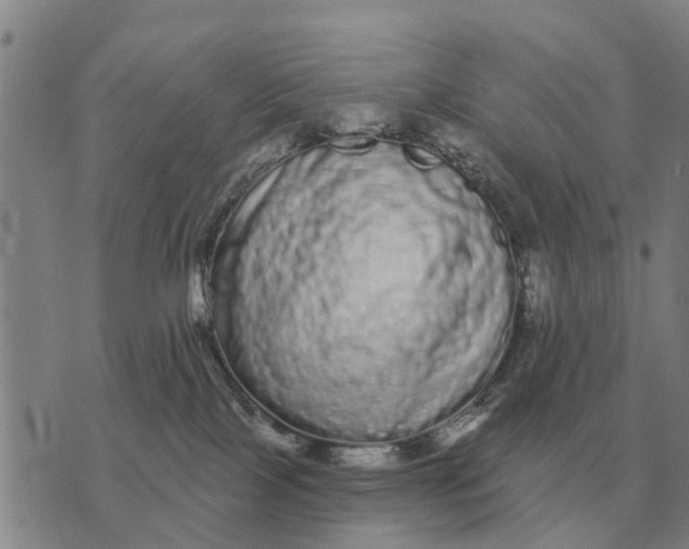 X0000072540089200608041633