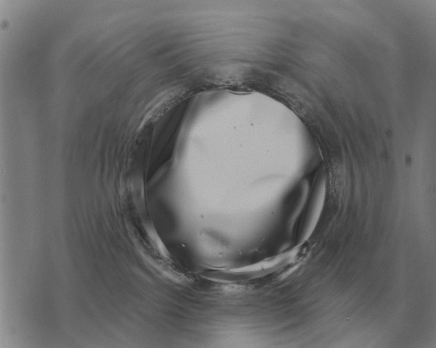 X0000072540092200608041633