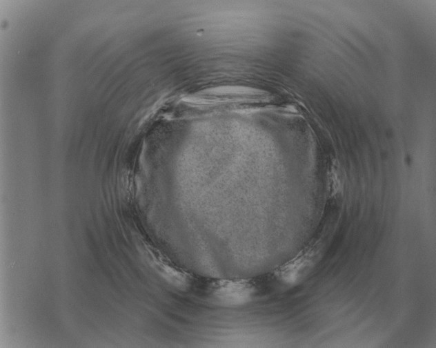 X0000072540093200608041633