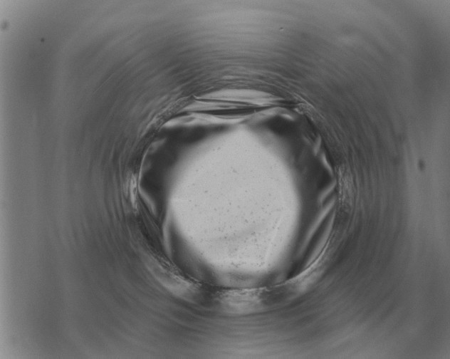 X0000072540094200608041633