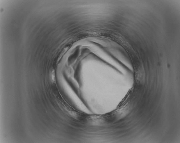 X0000072540095200608041633