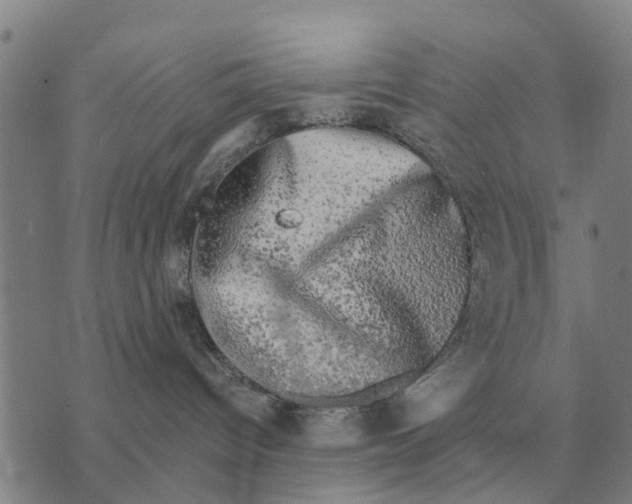 X0000072540096200608041633