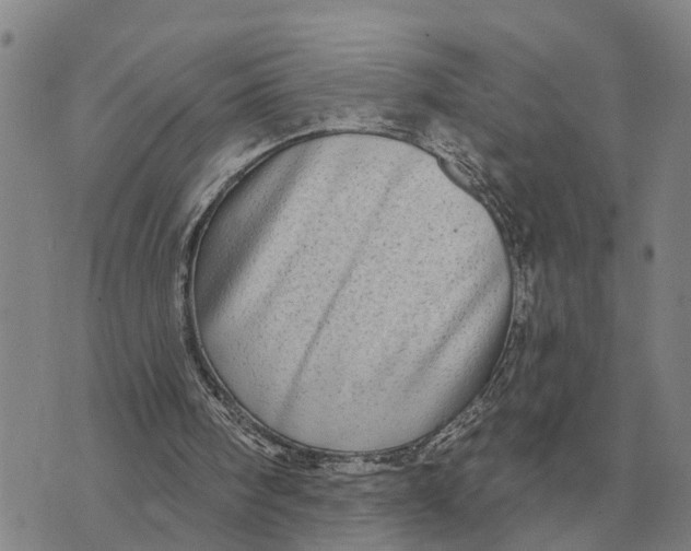 X0000072540098200608041632