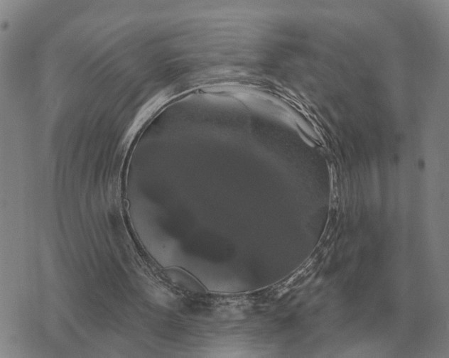 X0000072540099200608041632