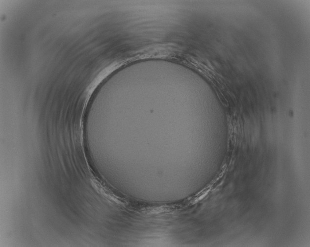 X0000072540100200608041632