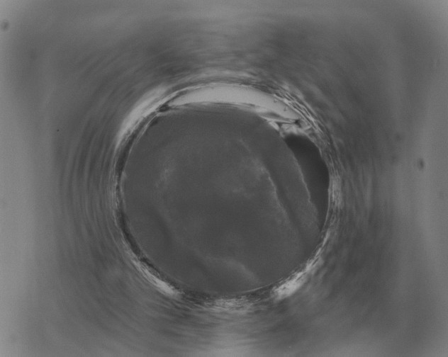 X0000072540101200608041632