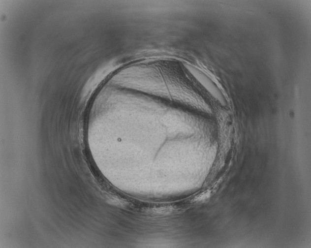 X0000072540103200608041632