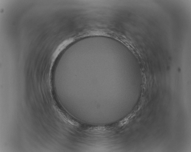 X0000072540104200608041632